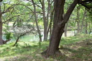 River Front C 300x200