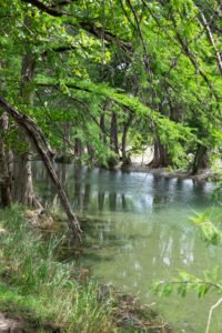 River Front D 200x300